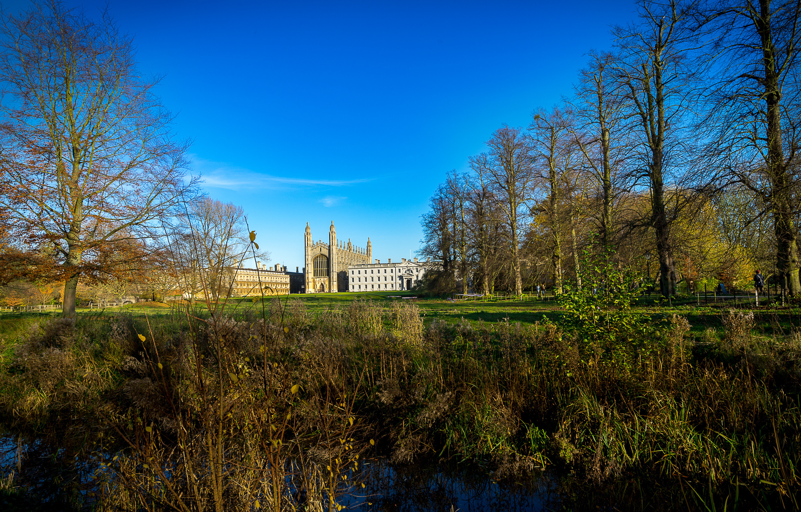 ケンブリッジ大学